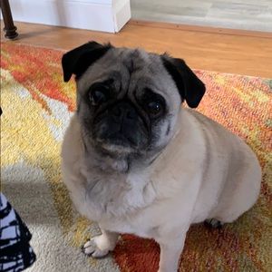 Meet your Posher, Ethan